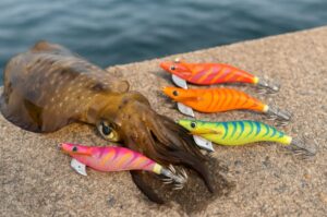 エギング夏の魅力と釣果アップの極意！地域別の好ポイント紹介 - ENJOY